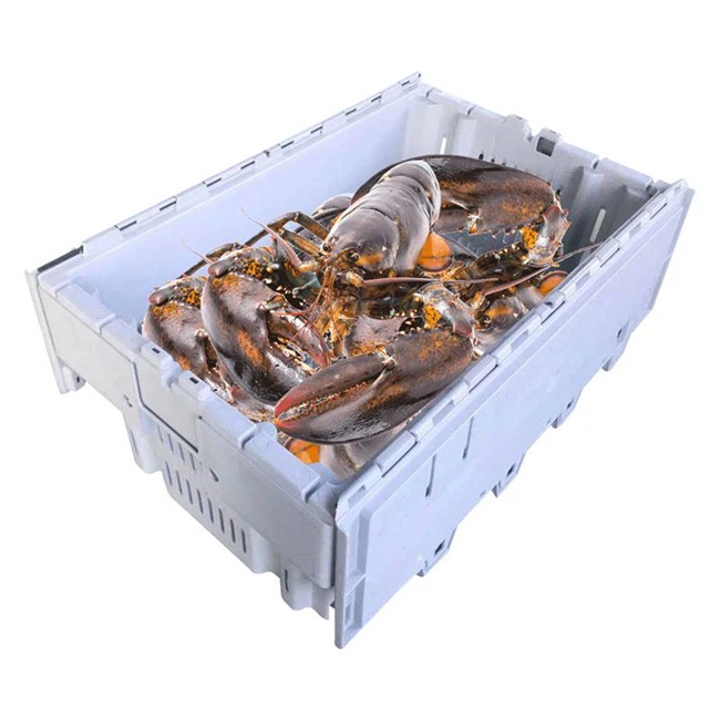 Plastic Crate/Box For Seafood & Cold Room Storage Plastic Crate/Box For Seafood & Cold Room Storage